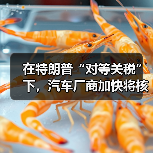 美国加征关税冲击全球供应链 美国加征关税冲击全球供应链