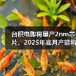 台积电2nm扩产加速,抢占芯片技术制高点 台积电2nm扩产加速,抢占芯片技术制高点