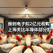 雅创电子布局汽车芯片 拟收购上海类比强化协同