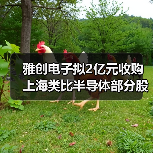 雅创电子布局汽车芯片 拟收购上海类比强化协同
