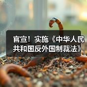 中国反外国制裁法实施规定解析及反制措施详解 中国反外国制裁法实施规定解析及反制措施详解