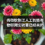 微软张江人工智能实验室提前关闭，战略调整引行业关注