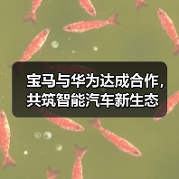 宝马深化鸿蒙生态合作 推动智能互联新体验