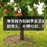 苹果Apple Watch或将集成AI摄像头,拓展智能穿戴新场景 苹果Apple Watch或将集成AI摄像头,拓展智能穿戴新场景
