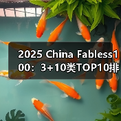中国IC设计公司Fabless100榜单技术领域排名 中国IC设计公司Fabless100榜单技术领域排名
