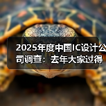 2024年中国IC设计公司调查：市场趋势与应对策略