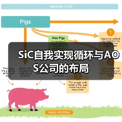 SiC技术应用拓展:新能源汽车与高效电源的革新驱动 SiC技术应用拓展:新能源汽车与高效电源的革新驱动