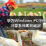 华为Windows PC停供,鸿蒙系统即将崛起 华为Windows PC停供,鸿蒙系统即将崛起