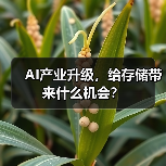AI产业升级,给存储带来什么机会? AI产业升级,给存储带来什么机会?