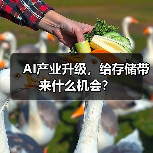 AI产业升级,给存储带来什么机会? AI产业升级,给存储带来什么机会?