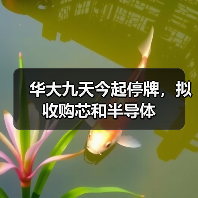 华大九天今起停牌,拟收购芯和半导体 华大九天今起停牌,拟收购芯和半导体