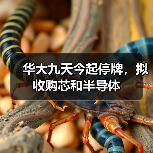 华大九天今起停牌,拟收购芯和半导体 华大九天今起停牌,拟收购芯和半导体