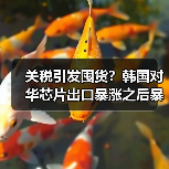 关税引发囤货?韩国对华芯片出口暴涨之后暴跌 关税引发囤货?韩国对华芯片出口暴涨之后暴跌
