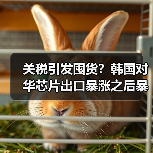 关税引发囤货?韩国对华芯片出口暴涨之后暴跌 关税引发囤货?韩国对华芯片出口暴涨之后暴跌