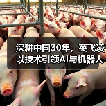 深耕中国30年,英飞凌以技术引领AI与机器人革命 深耕中国30年,英飞凌以技术引领AI与机器人革命
