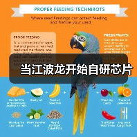 江波龙创新存储主控芯片应对行业同质化挑战 江波龙创新存储主控芯片应对行业同质化挑战