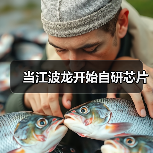 江波龙创新存储主控芯片应对行业同质化挑战 江波龙创新存储主控芯片应对行业同质化挑战