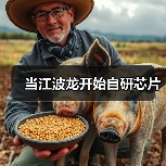 江波龙创新存储主控芯片应对行业同质化挑战 江波龙创新存储主控芯片应对行业同质化挑战
