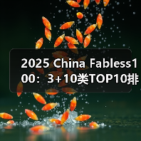 2025 China Fabless100:3+10类TOP10排行榜 2025 China Fabless100:3+10类TOP10排行榜