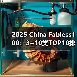 2025 China Fabless100:3+10类TOP10排行榜 2025 China Fabless100:3+10类TOP10排行榜
