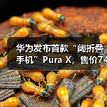 华为发布首款“阔折叠手机”Pura X,售价7499元起 华为发布首款“阔折叠手机”Pura X,售价7499元起