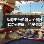 珠海出台机器人关键技术攻关政策,给予最高3000万元资助 珠海出台机器人关键技术攻关政策,给予最高3000万元资助