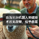 珠海出台机器人关键技术攻关政策,给予最高3000万元资助 珠海出台机器人关键技术攻关政策,给予最高3000万元资助