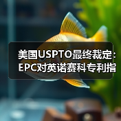 美国USPTO最终裁定:EPC对英诺赛科专利指控并无根据,属恶意竞争行为 美国USPTO最终裁定:EPC对英诺赛科专利指控并无根据,属恶意竞争行为