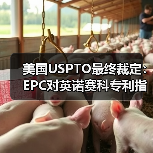 美国USPTO最终裁定:EPC对英诺赛科专利指控并无根据,属恶意竞争行为 美国USPTO最终裁定:EPC对英诺赛科专利指控并无根据,属恶意竞争行为