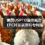 美国USPTO最终裁定:EPC对英诺赛科专利指控并无根据,属恶意竞争行为 美国USPTO最终裁定:EPC对英诺赛科专利指控并无根据,属恶意竞争行为