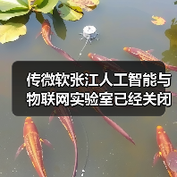 传微软张江人工智能与物联网实验室已经关闭