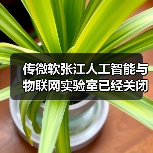 传微软张江人工智能与物联网实验室已经关闭