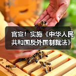 反外国制裁法实施规定解读,明确反制措施及执行机制 反外国制裁法实施规定解读,明确反制措施及执行机制