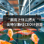 英特尔CEO改革计划应对芯片制造与AI战略挑战 英特尔CEO改革计划应对芯片制造与AI战略挑战