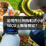 超小型MCU突破:高性能嵌入式解决方案 超小型MCU突破:高性能嵌入式解决方案