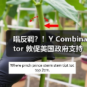 初创企业支持欧洲数字市场法案 促公平竞争 初创企业支持欧洲数字市场法案 促公平竞争