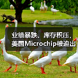 半导体行业产能过剩:企业调整产能应对市场变化 半导体行业产能过剩:企业调整产能应对市场变化