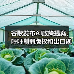 谷歌人工智能政策提案:版权限制与出口规则调整 谷歌人工智能政策提案:版权限制与出口规则调整