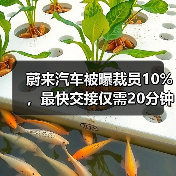 蔚来汽车裁员优化组织结构 面临盈利压力 蔚来汽车裁员优化组织结构 面临盈利压力