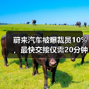 蔚来汽车裁员优化组织结构 面临盈利压力 蔚来汽车裁员优化组织结构 面临盈利压力
