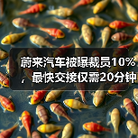 蔚来汽车裁员优化组织结构 面临盈利压力 蔚来汽车裁员优化组织结构 面临盈利压力