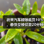 蔚来汽车裁员优化组织结构 面临盈利压力 蔚来汽车裁员优化组织结构 面临盈利压力