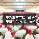 华为Pura X折叠手机创新发布,鸿蒙5引领新体验 华为Pura X折叠手机创新发布,鸿蒙5引领新体验