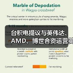 台积电提议与英伟达、AMD、博世合资运营英特尔芯片代工,愿望或落空 台积电提议与英伟达、AMD、博世合资运营英特尔芯片代工,愿望或落空