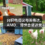 台积电提议与英伟达、AMD、博世合资运营英特尔芯片代工,愿望或落空 台积电提议与英伟达、AMD、博世合资运营英特尔芯片代工,愿望或落空