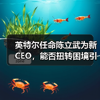英特尔任命陈立武为新CEO,能否扭转困境引发关注 英特尔任命陈立武为新CEO,能否扭转困境引发关注