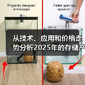 从技术、应用和价格走势分析2025年的存储产业 从技术、应用和价格走势分析2025年的存储产业