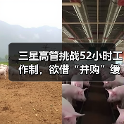 三星高管挑战52小时工作制,欲借“并购”缓解股东焦虑 三星高管挑战52小时工作制,欲借“并购”缓解股东焦虑