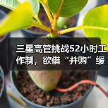 三星高管挑战52小时工作制,欲借“并购”缓解股东焦虑 三星高管挑战52小时工作制,欲借“并购”缓解股东焦虑