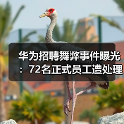 华为招聘舞弊事件曝光:72名正式员工遭处理,外包OD成重灾区 华为招聘舞弊事件曝光:72名正式员工遭处理,外包OD成重灾区